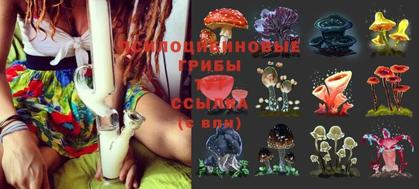 MDMA Аркадак