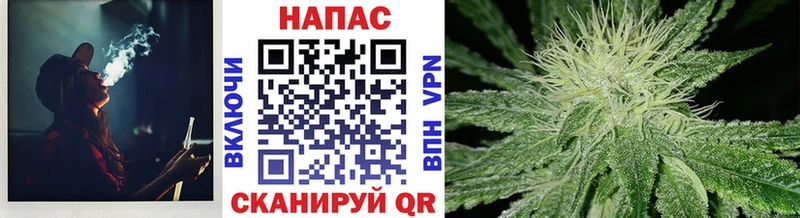 Конопля индика  где найти   Истра 